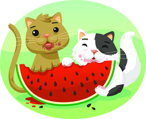 cats eating watermelon