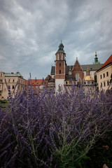Wawel Royal Castle. Historic buildings of the Wawel Cathedral.