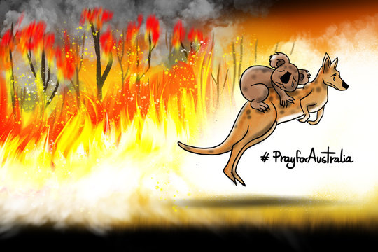 Concept art - Pray for Australia. Drawn and paint about Australian bushfire in 2019. Fire storm burning surround Koala and Kangaroo but they are escape. It's effect of Global warming.