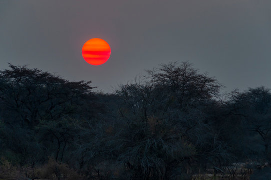 Namibia, Africa. Kavango