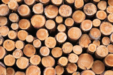 Background of dry chopped firewood logs stacked up on top of each other in a pile