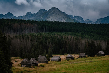 path through Gasienicowa Valley in Tatry mountains, Poland