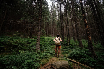 Obraz premium Closeup portrait of young hiker hiking, looking up at trees.