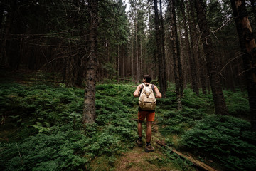 Fototapeta premium Closeup portrait of young hiker hiking, looking up at trees.