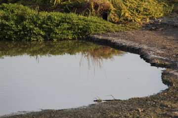 reflection of a lake
