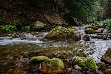 Mountain stream in High Tatras National Park, Poland