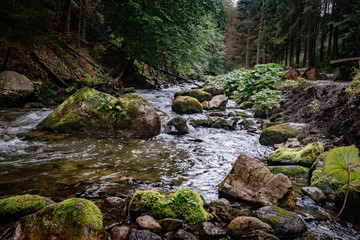 Naklejka na ściany i meble Mountain stream in High Tatras National Park, Poland