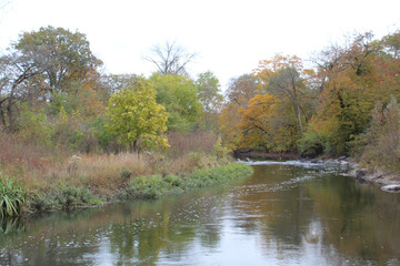 Fototapeta na wymiar DuPage River with trees with autumn colors at McDowell Grove Forest Preserve in Naperville, Illinois