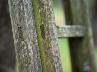 Vertical member of a rigid ladder