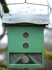 Homemade wooden bird feeder