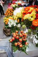 A variety of colorful fresh spring flowers at the flower fair.