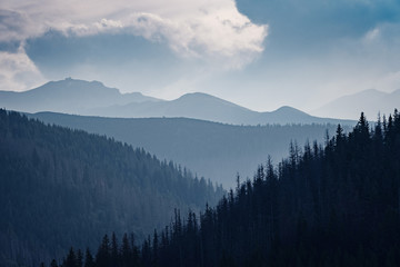 Obraz premium amazing nature, summer in the mountains. Travel and hike