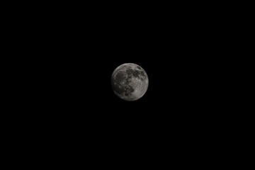 Huge detailed moon at black background