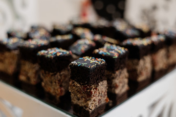 Delicious slices of chocolate cake on the tray © kristina_1994