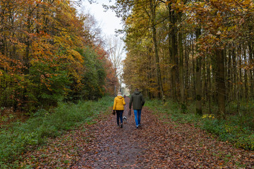 man and woman walking the dog in autumn