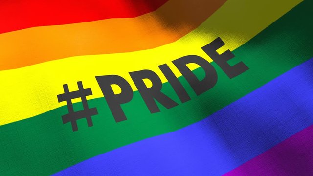 Gay pride rainbow waving flag with text on it. Seamless cgi animation highly detailed fabric texture in cinematic slow motion. LGBTQ 3d background of fight for rights and equality symbol. Civil rights