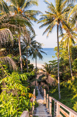 A beautiful descent wooden staircase through the jungle down to the beach. A beautiful view opens through palm trees to the ocean. © Olha