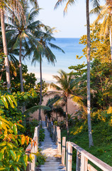 A beautiful descent wooden staircase through the jungle down to the beach. A beautiful view opens...