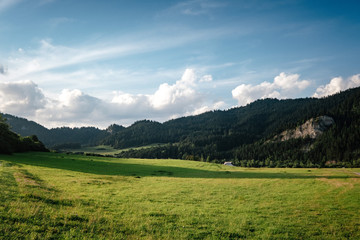Fototapeta na wymiar Summer mountain landscape in Slovakia, travel concept