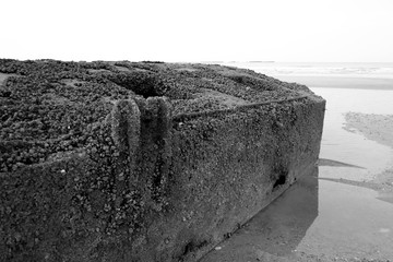 The Normandy Landing Beaches