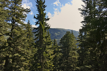 Landscape of trail for The Stinky Lake from area of Tiha Rila (Quiet Rila