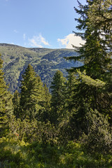Landscape of trail for The Stinky Lake from area of Tiha Rila (Quiet Rila