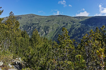 Landscape of trail for The Stinky Lake from area of Tiha Rila (Quiet Rila