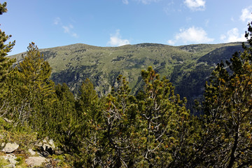 Landscape of trail for The Stinky Lake from area of Tiha Rila (Quiet Rila