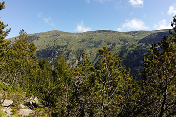 Obraz premium Landscape of trail for The Stinky Lake from area of Tiha Rila (Quiet Rila