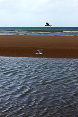 The Normandy Landing Beaches