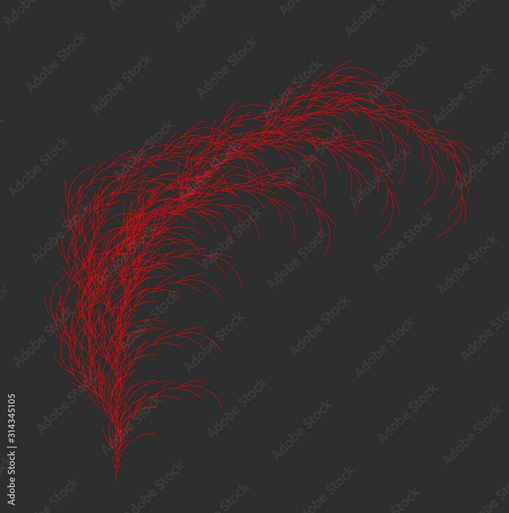 Wall mural vector weed generative design - panicle like l-system mathematical model