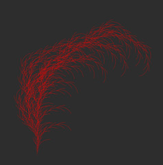 Vector Weed Generative Design - Panicle Like L-system Mathematical Model - 314345105