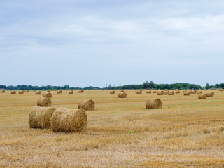 hay harvesting on an agricultural field.