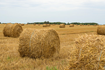 hay harvesting on an agricultural field.