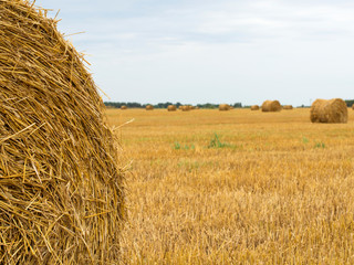 hay harvesting on an agricultural field.