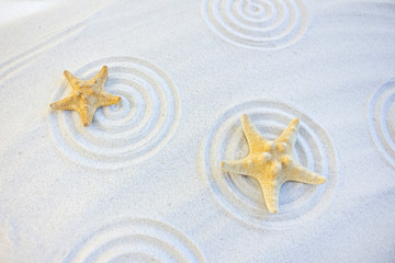 Two sea stars in sand circles