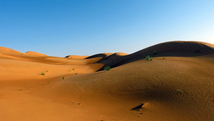 Fototapeta na wymiar Desert with dunes and blue sky