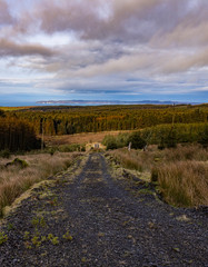 Fototapeta na wymiar Ballypatrick forest view to Rathlin Island, Causeway coast and glens, County Antrim, Northern Ireland
