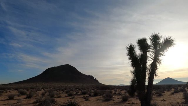 Desert Lapsed wide