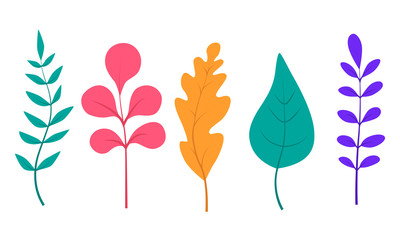 Set of abstract colored leaves and branches. Vector illustration