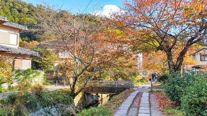 Fototapeta na wymiar Philosopher's Walk (Japanese name: Tetsugaku no michi) Path with Cherry-Trees on the sides of a canal in Autumn - Kyoto, Japan