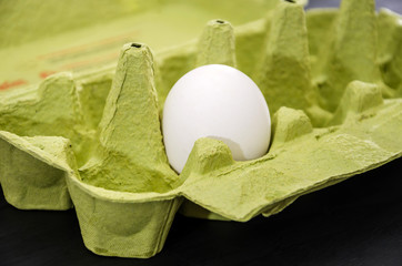 one white, chicken egg in a green tray.