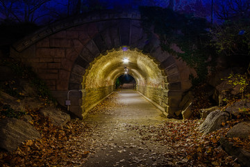 Nighttime image looking through Inscope Arch in New York City&rsquo;s Central Park with falling leaves inside the tunnel.