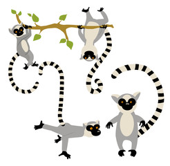 St of Cartoon lemurs on the white background. Vector illustration © Sasha Al