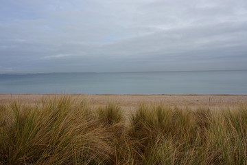 Fototapeta na wymiar Düne am Meer am regnerischen Tag