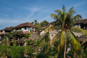 Fototapeta na wymiar Traditional building in Bali surrounded by palm trees, Indonesia