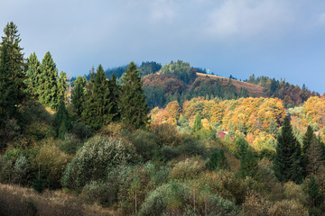 mountain autumn mixed forest with fog on top of mountain.