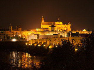 night view of the city of Cordoba in Spain