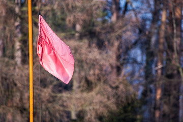 Red flag waving on an orange pole near a forest
