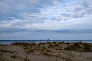 empty sea beach in autumn with some bushes and dry grass
